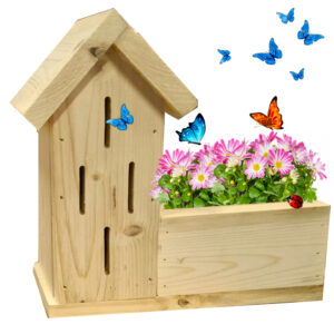 Rifugio per farfalle.. con giardino