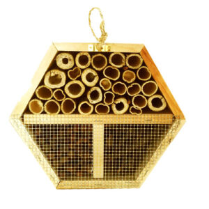 Casetta esagonale api solitarie