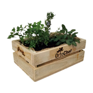 Cassettina "Orto Chef"