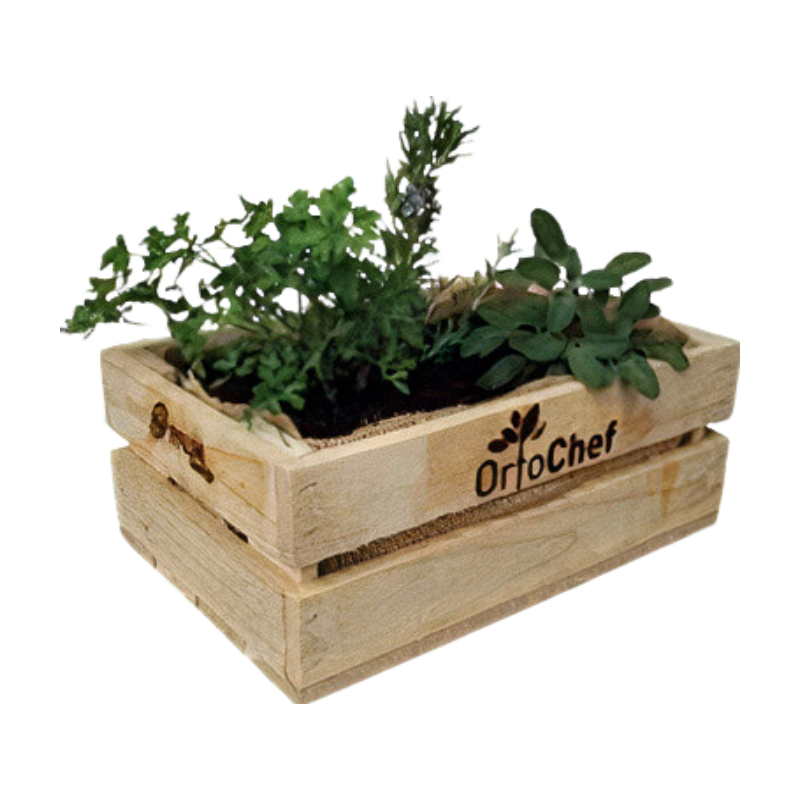 Cassettina "Orto Chef"